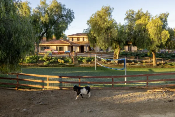 Rancho Milagro Recovery Gallery 2