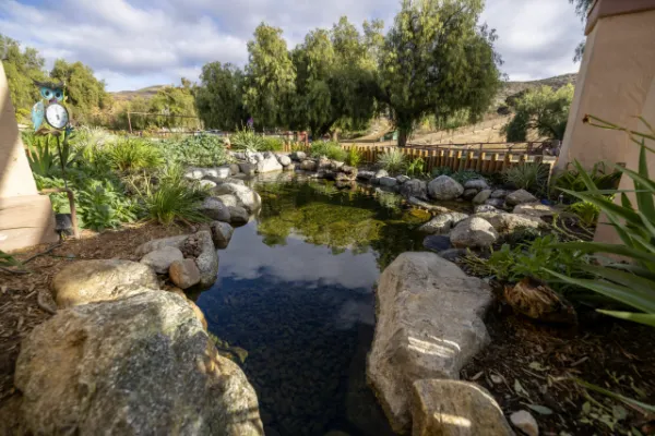 Rancho Milagro Recovery Gallery